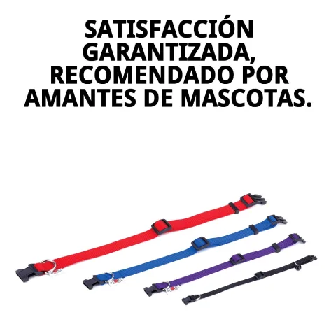 Personalización del collar nylon con etiquetas y adornos