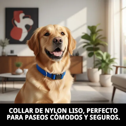 Material resistente del collar nylon liso azul para perros