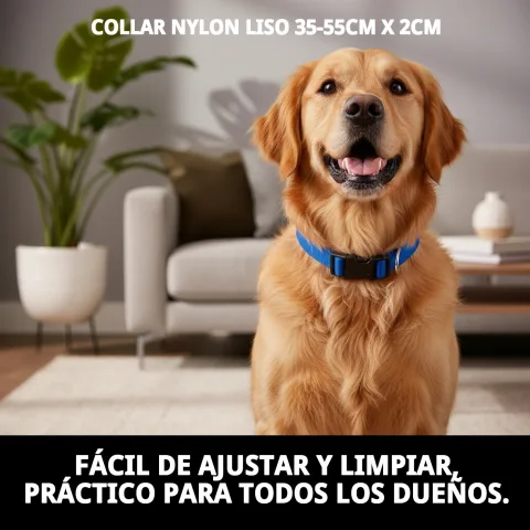 Collar nylon azul para perros en paseo al aire libre