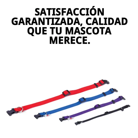 Cierre seguro del collar nylon liso azul para perros activos