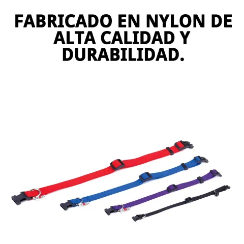 Collar nylon liso colocado en gato con pelaje claro