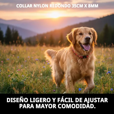 Mascota con collar nylon redondo para paseo diario