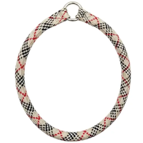 Collar nylon redondo ajustado en perro pequeño