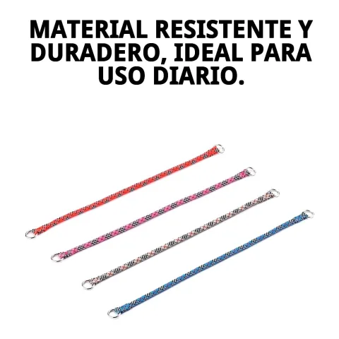 Uso del collar nylon durante paseo con perro pequeño