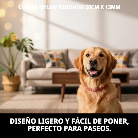 Imagen del collar nylon redondo colocado en perro de tamaño mediano