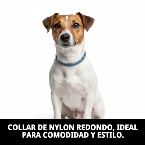 Collar nylon redondo 55cm en color negro para perros