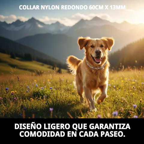 Collar nylon ligero para comodidad prolongada del perro