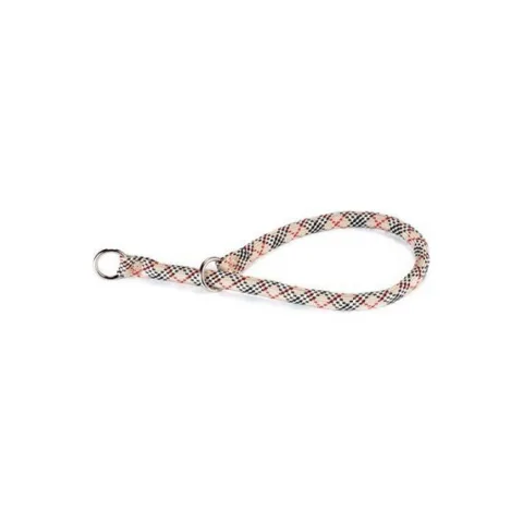 Uso del collar nylon redondo en paseo diario de perro pequeño