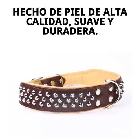 Material de piel de alta calidad del collar luxury clavo
