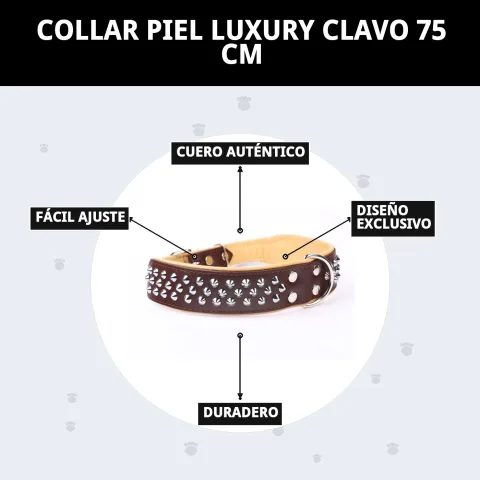 Collar piel luxury clavo doblado mostrando calidad y diseño