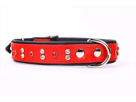 Detalle cristales decorativos en collar piel luxury