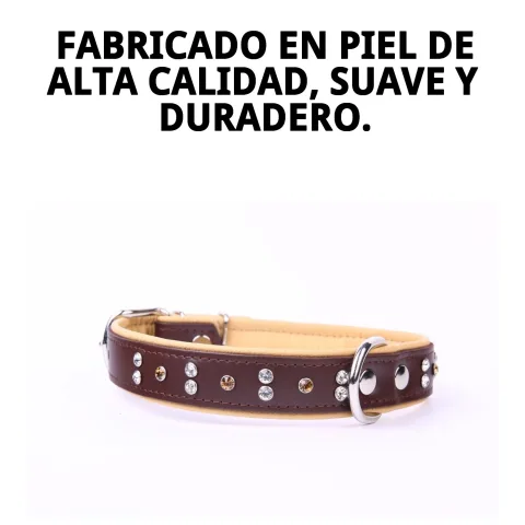 Perro con collar piel luxury cristal 56 cm color rojo en paseo