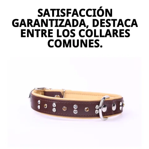 Cristales brillantes en collar piel luxury 56 cm en detalle