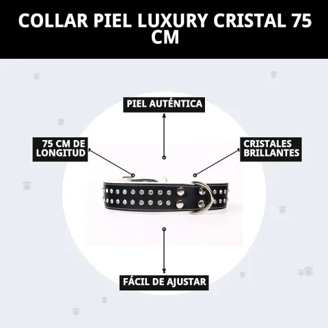Collar piel luxury cristal con fondo neutro para catálogo