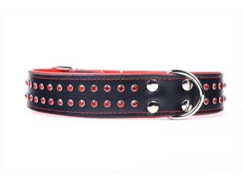 Collar luxury cristal blanco para perros medianos y grandes