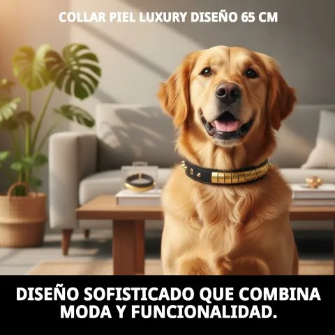 Collar luxury colocado sobre superficie neutra para mostrar diseño