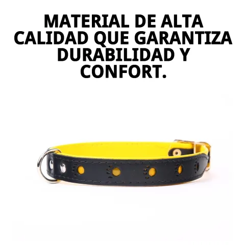 Collar piel luxury huella colocado en perro de tamaño medio