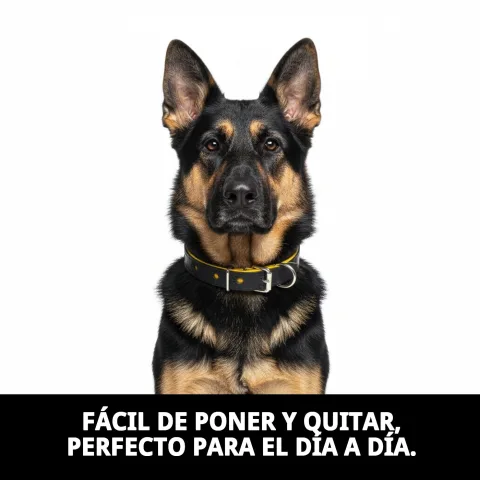 Collar luxury huella mostrando su flexibilidad y ajuste