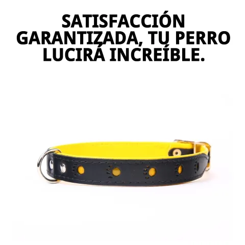 Collar piel luxury huella con luz reflejando su color amarillo