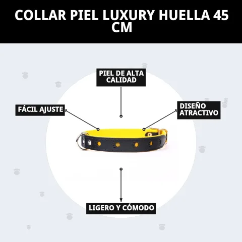 Collar luxury huella en ambiente exterior durante paseo nocturno