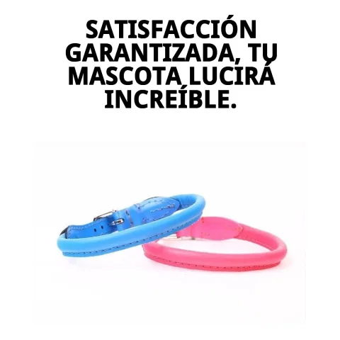 Uso diario del collar piel luxury redondo en paseo canino