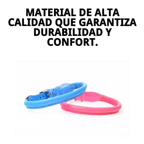 Collar piel luxury redondo en perro con pelaje largo