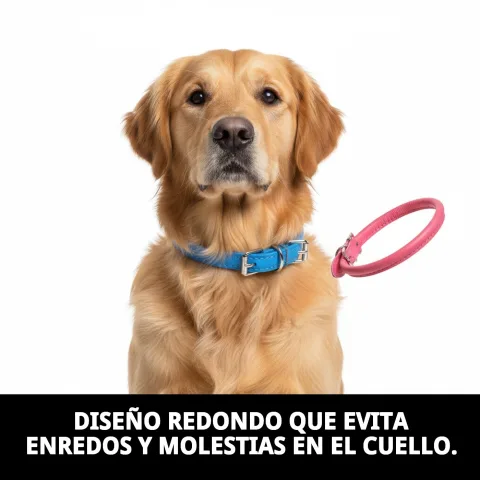 Collar piel luxury redondo azul y rosa comparados