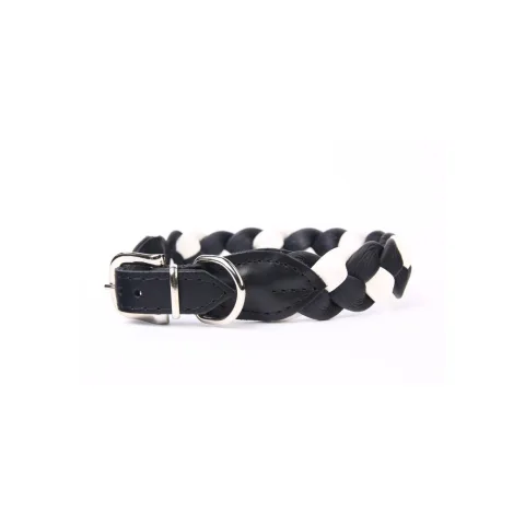 Collar de piel Luxury colocado en cuello de perro