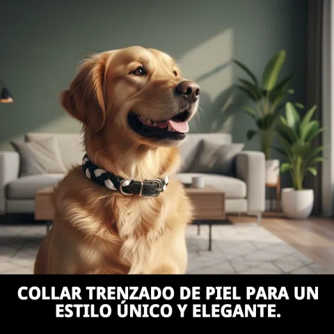 Cierre del collar trenzado de piel de alta calidad