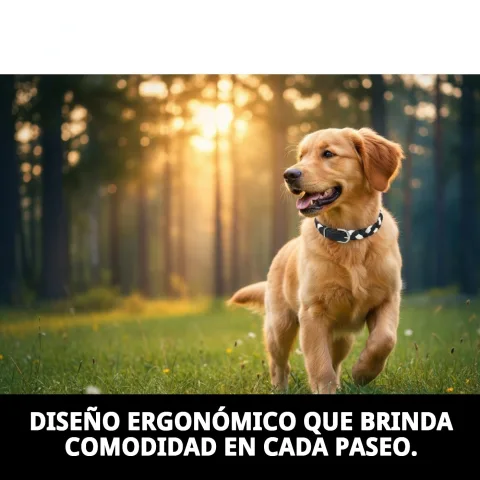 Perro con collar de piel Luxury trenzado en paseo