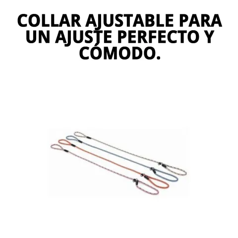 Vue latérale du collier et laisse nylon pour dressage