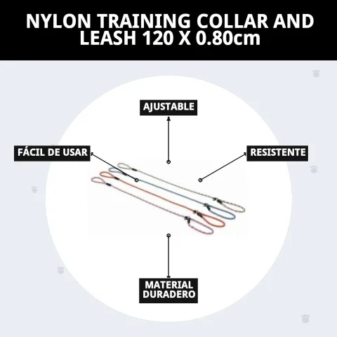 Collier et laisse nylon rangés et prêts à l'emploi