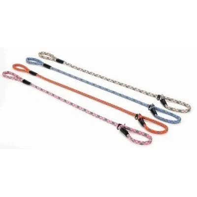 Détail du nylon résistant du collier et de la laisse