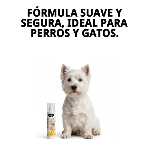 Aplicación de colonia desodorante Moly en pelaje de perro