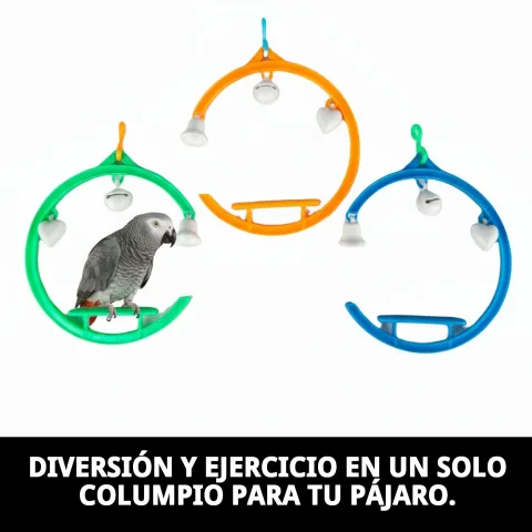 Balancelle installée dans une cage pour oiseaux
