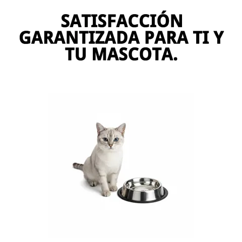 Uso del comedero anti-deslizante en zona de alimentación de mascotas