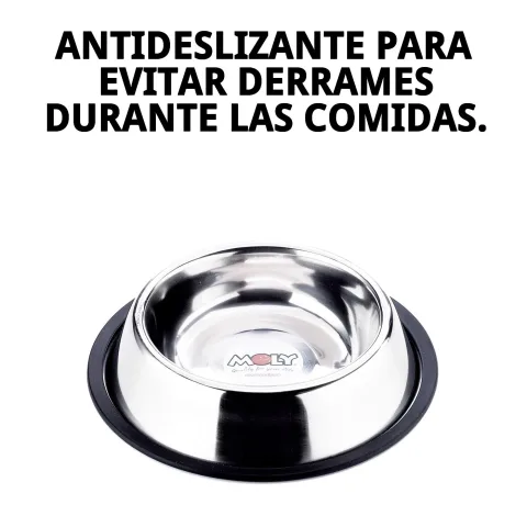 Comedero estable en suelo durante la alimentación de mascota