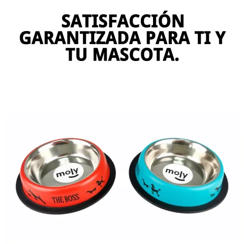 Comedero antideslizante en uso con alimento seco para mascotas