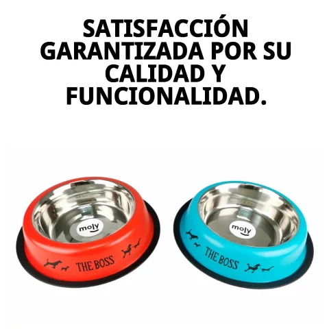 Comedero Draw junto a otros accesorios para perros en Mar Mascotas