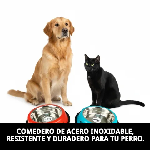 Capacidad de 1,55 litros del comedero acero inoxidable Draw