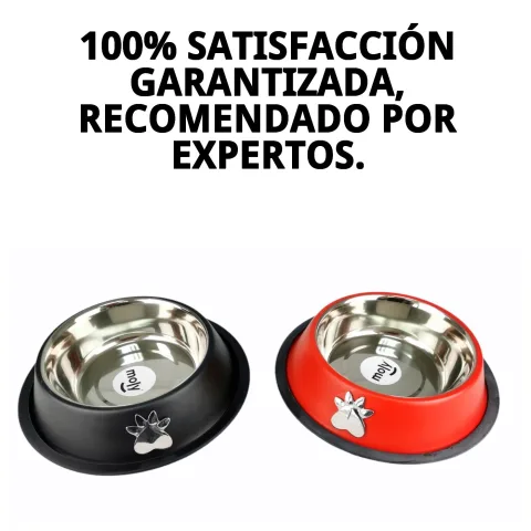 Comedero Motif junto a otros accesorios para mascotas