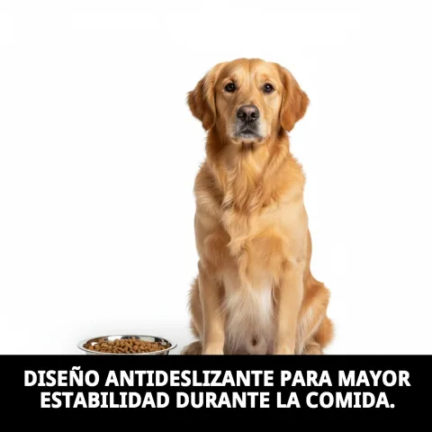 Uso del comedero acero Eco en alimentación de perro