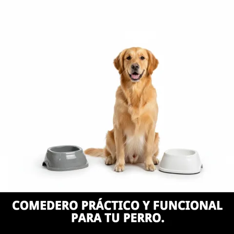 Comedero Break N.1 con comida para perro