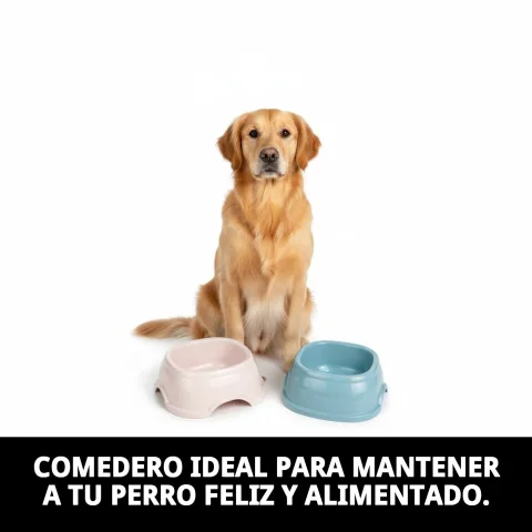 Comedero Break N.3 con comida para perro pequeño