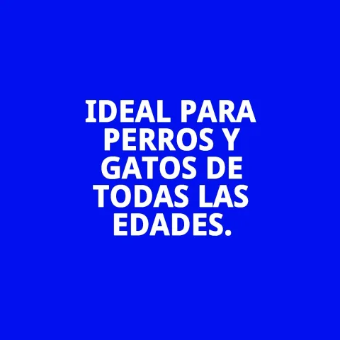 Comedero doble con agua y pienso para gato