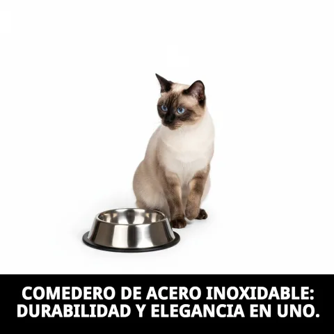 Gato comiendo en comedero de acero inoxidable Draw