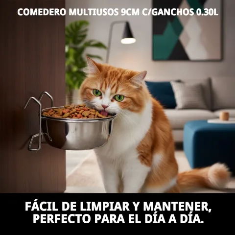 Comedero con agua para gato pequeño en jardín