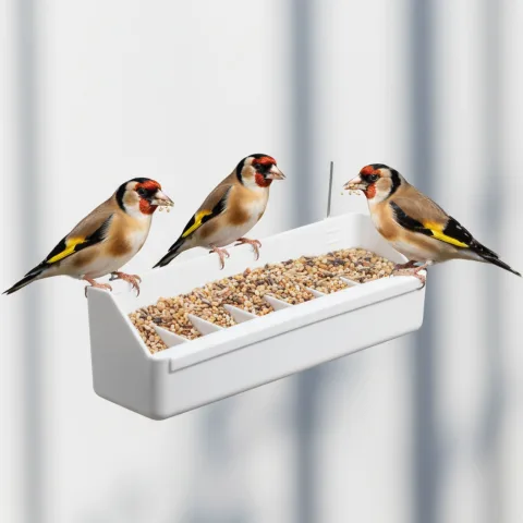 Mangeoire universelle installée dans une cage d'oiseaux avec accès facile