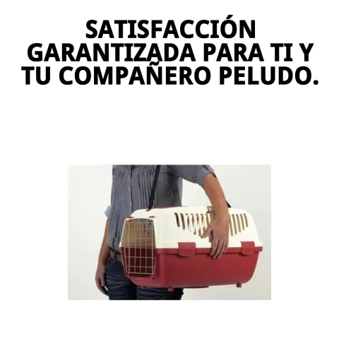 Utilisation pratique de la laisse en nylon pour le transport de l'animal