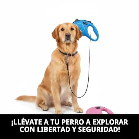 Correa extensible Flexi New Classic M/L con perro grande en parque